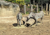 Paris Zoological Park