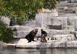 Paris Zoological Park