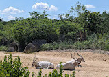 Paris Zoological Park