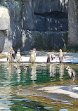 Paris Zoological Park