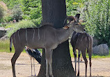 Paris Zoological Park