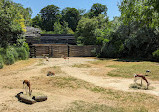 Paris Zoological Park