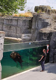 Paris Zoological Park