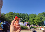 Frédéric Chopin Monument