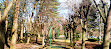 Parc Saint Exupery