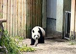 Zoo Aquarium de Madrid