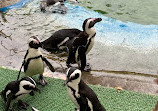 Zoo Aquarium de Madrid