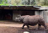 Zoo Aquarium de Madrid