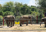 Zoo Aquarium de Madrid