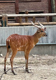 Zoo Aquarium de Madrid