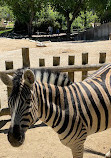 Zoo Aquarium de Madrid