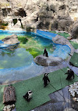 Zoo Aquarium de Madrid