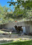 Zoo Aquarium de Madrid