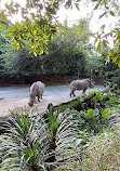 Singapore Zoo