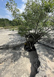 McKinney Falls State Park