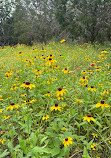 McKinney Falls State Park