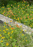 McKinney Falls State Park