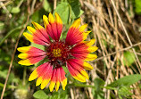 McKinney Falls State Park