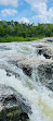 McKinney Falls State Park