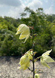 McKinney Falls State Park