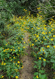 The Terrace Hiking Trail