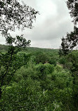 Barton Creek Wilderness Park