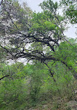 Barton Creek Wilderness Park