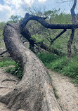 Barton Creek Wilderness Park