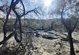 Barton Creek Wilderness Park