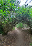 Barton Creek Wilderness Park