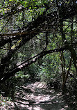 Barton Creek Wilderness Park