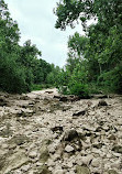 Barton Creek Wilderness Park