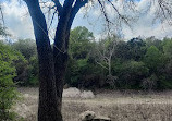 Barton Creek Wilderness Park