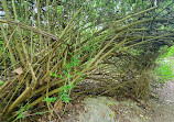 Barton Creek Wilderness Park