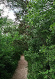 Barton Creek Wilderness Park