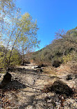 Barton Creek Wilderness Park