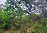 Barton Creek Wilderness Park