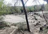 Barton Creek Wilderness Park