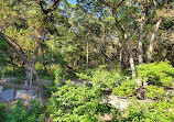 Stillhouse Hollow Nature Preserve