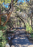 Stillhouse Hollow Nature Preserve