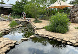 Lady Bird Johnson Wildflower Center