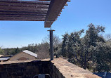 Lady Bird Johnson Wildflower Center