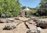 Lady Bird Johnson Wildflower Center