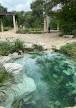 Lady Bird Johnson Wildflower Center