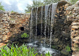 Lady Bird Johnson Wildflower Center