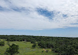 Lady Bird Johnson Wildflower Center