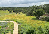 Lady Bird Johnson Wildflower Center