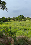 Lady Bird Johnson Wildflower Center