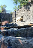 Prague Zoo