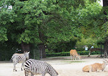 Berlin Zoological Garden